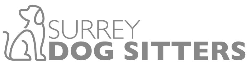 Surrey Dog Sitters